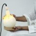 Slow Glow Lamp, Next Architects, Aura Luz Melis, Droog Design, vegetable fat lamp, green design, lamp design, lighting design, Salone Internazionale del Mobile