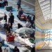 SpainLab, Spanish Pavilion, Venice Architecture Biennale, Venice, Architecture, Innovation, Investigation, Exhibit, Common Ground