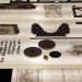 SpainLab, Spanish Pavilion, Venice Architecture Biennale, Venice, Architecture, Innovation, Investigation, Exhibit, Common Ground