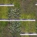 green roof, chicago green roof, green roof designs, modern green roof, Hoerr Schaudt Landscape Architects, landscape architecture