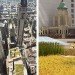 green roof, chicago green roof, green roof designs, modern green roof, Hoerr Schaudt Landscape Architects, landscape architecture