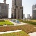 green roof, chicago green roof, green roof designs, modern green roof, Hoerr Schaudt Landscape Architects, landscape architecture