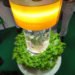 Aquaponics, fish tank, aquarium, lettuce, fish, hydroponics