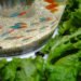 Aquaponics, fish tank, aquarium, lettuce, fish, hydroponics