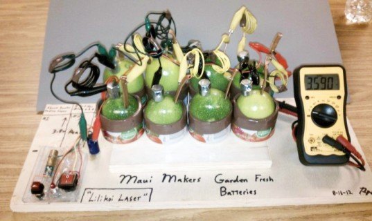 maui makers, hackerspae, lilikoi laser, tropical fruit laser, renewable power source, passion fruit, lilikoi laser, ryan K