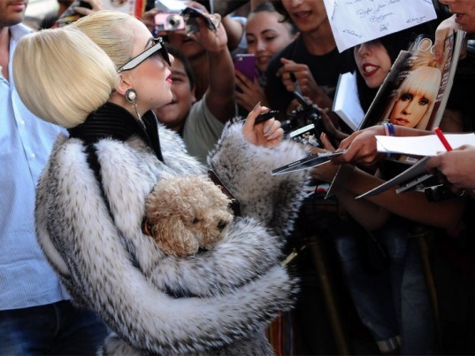 Ecouterre, lady gaga, fur, Peta, People for the Ethical Treatment of Animals, fur scandal, Kim Kardashian, mother monster,
