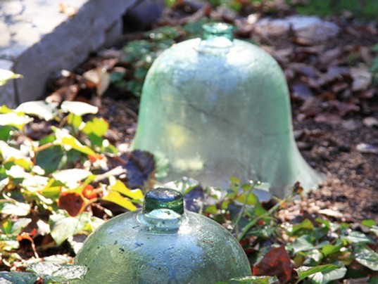 Extension gardening, cloches, hoophouse, greenhouse, winter garden