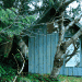 Hinterland Design, British Columbia houses, British Columbia architecture, Backyard cabin, backyard studio, shed studio, shed workspace, tiny footprint design, salvaged wood building, re-purposed wood, sustainable building, sustainable architecture