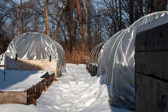 Extension gardening, cloches, hoophouse, greenhouse, winter garden