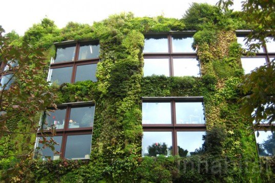 Museé du Quai Branly, Patrick Blanc, Ana Lisa Alperovich, paris, green wall, eiffel tower, green tapestry, live garden, green roof, Vertical Garden, Urban farming, Daylighting, Botanical, Green renovation, energy efficiency, Air quality, art, Architecture,