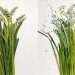 jon shireman, broken flowers, liquid nitrogen, shatter