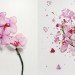 jon shireman, broken flowers, liquid nitrogen, shatter