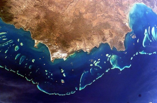 Australian Institute of Marine Science, Great Barrier Reef, coral loss, coral reef, AIMS, climate change, rising sea levels, global warming, crown of thrones starfish, starfish, reef damage