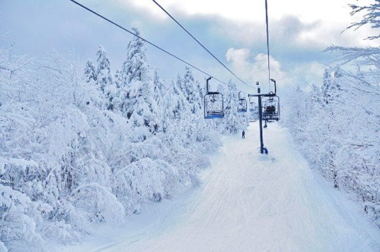 Ski, sustainable, Mountain Rider’s Alliance, Brendle Group, partnership, net-zero, Colorado, Mt Abrams, Maine, Golden Eagle Ski Industry Award