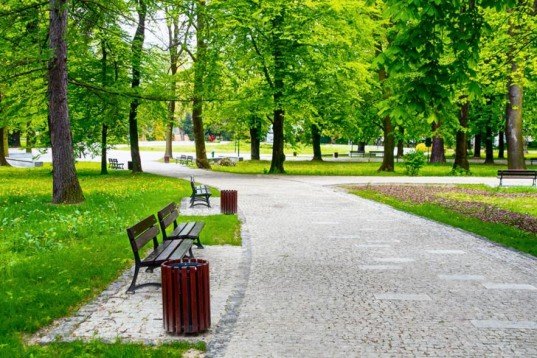 park, green park, walking park, walkway, park trail, park walkway