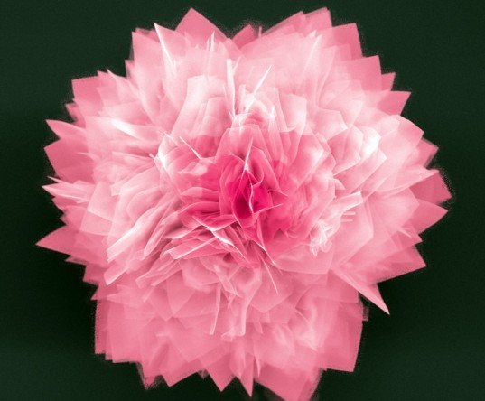 ges, nanoflower, north carolina state university, solar cell, petals