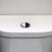 half, half toilet flush, water saving toilet, green design, eco design, sustainable design, jon liow, water savings