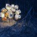 Rune Guneriussen, temporary installation, green art, sustainable artwork, nature art, everyday objects, recycled materials, repurposed objects, sustainable design, green design, light installation, land art