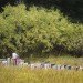 Rune Guneriussen, temporary installation, green art, sustainable artwork, nature art, everyday objects, recycled materials, repurposed objects, sustainable design, green design, light installation, land art