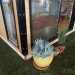 Blu Homes, Modern Cabana, Greenbuild, modular homes, premanufactured, homes, cabins, accessory dwelling units, sustainable