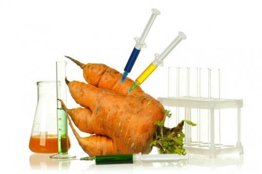 GMO, Genetically Modified Food, Monsanto, Peru, food, heritage food species, biodiversity, GMO, corn, Policy, GMO Ban, GMO laws, environmental news