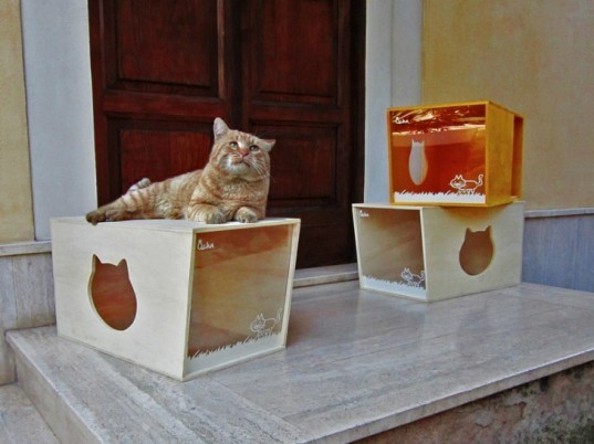Qcha Cat Home Series Qcha Cat Home Series, Qcha, eco-friendly cat homes, sustainable cat homes, eco-pets, green pets, green cat homes, Daniela Ogis, Stefano Ogis, Fabrizio Fillo