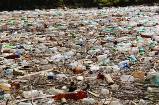 SUNY Fredonia, Sherri Mason, Great Lakes, Plastic Pollution, Gyres, Microplastic, Lake Superior, Huron, Erie, United States, Science, News, Environment, Food Chain