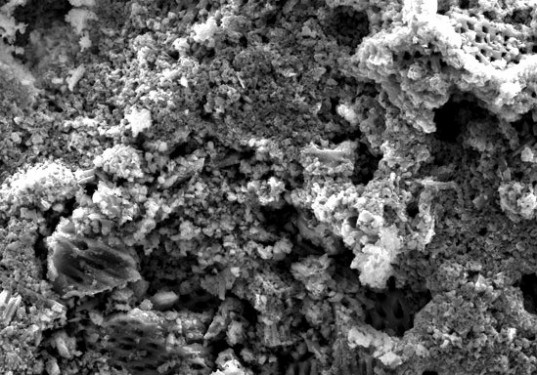 silicon powder, Madhuri Thaku, Sibani Lisa Biswal, Rice University, lithium-ion batteries