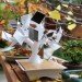 electree+, solar charger, bonsai, tree, usb, wireless, vivien muller, iphone, ipad, smartphone, tablet