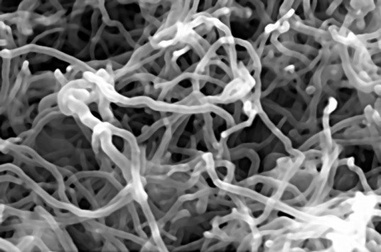 microchips, carbon nanotubes, computer chips, electronic devices, ibm, carbon, silicon, nature nanotechnology, artificial muscles, university of texas in dallas, yarn, carbon nanotubes muscles