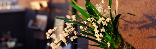 7 mother's day gifts, best diy posts, best of inhabitat, best stories of 2012, do it yourself, eco stories 2012, how-to, inhabitat DIY, inhabitat how to, inhabitat readers choice winners, Top 6 DIY Inhabitat Stories of 2012, top diy posts, top diy stories 2012, top eco stories of 2012, top inhabitat stories 2012, diy,