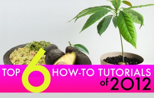 2012's DIY stories best diy posts, best of inhabitat, best stories of 2012, do it yourself, eco stories 2012, how-to, inhabitat DIY, inhabitat how to, inhabitat readers choice winners, Top 6 DIY Inhabitat Stories of 2012, top diy posts, top diy stories 2012, top eco stories of 2012, top inhabitat stories 2012, diy, diy design