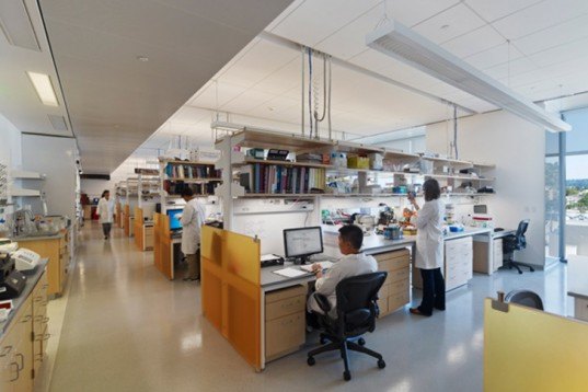 University of California, Berkeley, SmithGroupJRR, Energy Bioscience Building, biofuels research building, California, Sustainable, LEED Gold, Rudolph & Sletten, daylighting