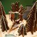 top 10, baking, holidays, Gingerbread Architecture, sustainable buildings, 2012, christmas