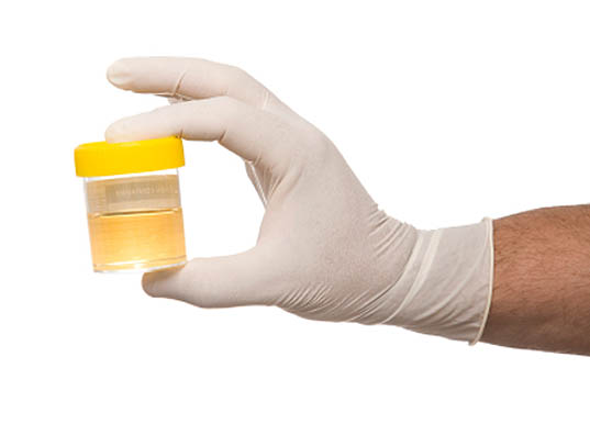 Guangzhou Institute of Biomedicine and Health, Duanqing Pei, green design, eco design, sustainable design, stem cell research, stem cells from urine,