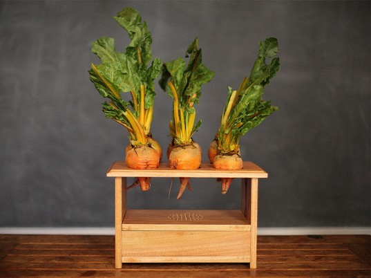 beetbox, scott garner, drum machine, beets, touch sensors