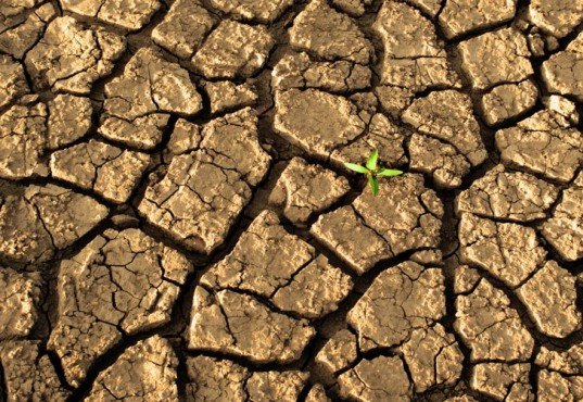 UN Environment Programme, UNEP, Co2 emissions, climate change, global warming, emissions, UN report, CO2 targets, C02 2020, Carbon emissions targets