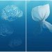 plastic pacific, kim preston, sea creatures, trash, garbage, great pacific garbage patch, pacific trash vortex
