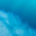 plastic pacific, kim preston, sea creatures, trash, garbage, great pacific garbage patch, pacific trash vortex