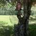 invisibility cloak, quantum stealth, fabric tech, science fiction, camouflage
