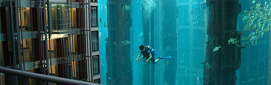 Aquadom at the Radisson Blu Hotel in Berlin, Aquadom, Radisson Blu Hotel, Hotel Aquarium, Berlin Aquarium, Amazing Hotels, Giant Aquariums, germany aquariums, berlin sightseeing, berlin night spots, berlin hot spots, things to see in berlin, amazing aquariums, aquarium architecture