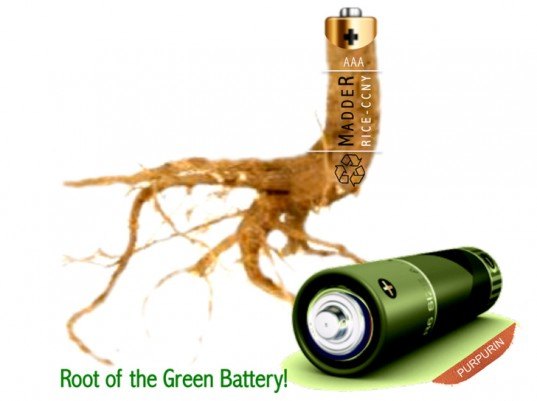battery, madder root, purpurin, city college of new york, rice university, eco battery, lithium ion
