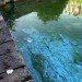University of California Davis, cyanobacteria, biofuels, lab grown biofuels, sun-powered bacteria, scientific research, chemical feedstocks, green energy, Atsumi lab UC Davis, Asahi Kasei Corp, green technology