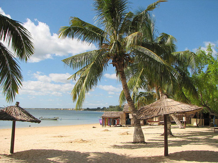 green design, eco design, sustainable design, coral reef destruction, Grand Recif of Toliara, Coral Reef madagascar, climate change, biodiversity systems indian ocean, decline of coral reefs