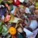 food waste, water, energy, IME, Institute of Mechanical Engineers, Global Food; Waste Not, Want Not, population, world hunger, environment, news,