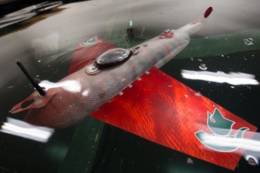 grace, michigan state university, xiaobo tan, glider, fish, water, sensors, pollution, autonomous 
