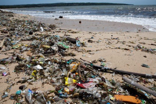 plastic, pollution, toxic, research, marine, ocean, debris, chemicals, absorb