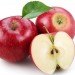 food waste, water, energy, IME, Institute of Mechanical Engineers, Global Food; Waste Not, Want Not, population, world hunger, environment, news,