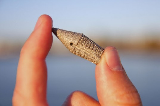 3D printed fish tag, 3d Printing, fish tags, CSIRO fish tags, 3d printed tags