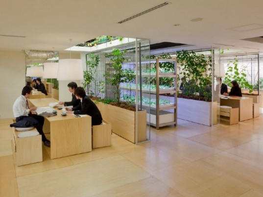 Pasona HQ, Kono Designs, vertical garden, urban farm, eco office, living wall, urban farming, green renovation